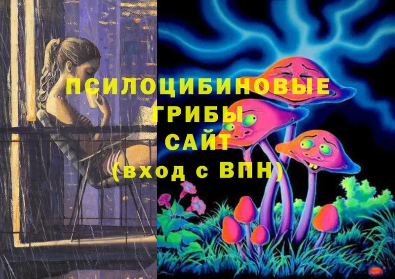 Галлюциногенные грибы MAGIC MUSHROOMS  Тавда 